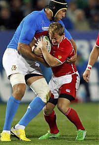 Sport and Fitness: 2011 Rugby World Cup, New Zealand