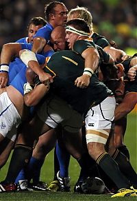 Sport and Fitness: 2011 Rugby World Cup, New Zealand