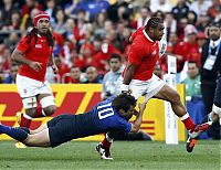 Sport and Fitness: 2011 Rugby World Cup, New Zealand