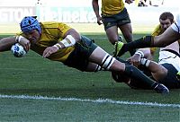 Sport and Fitness: 2011 Rugby World Cup, New Zealand