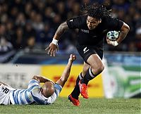 Sport and Fitness: 2011 Rugby World Cup, New Zealand