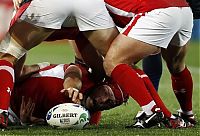 TopRq.com search results: 2011 Rugby World Cup, New Zealand