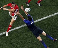 Sport and Fitness: 2011 Rugby World Cup, New Zealand