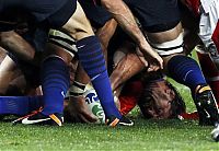 Sport and Fitness: 2011 Rugby World Cup, New Zealand