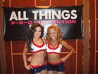 Sport and Fitness: Houston Texans NFL cheerleader girls