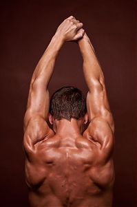 Sport and Fitness: strong bodybuilding man portrait