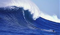 TopRq.com search results: surfing huge waves