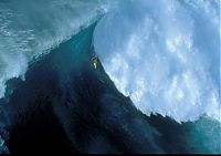 Sport and Fitness: surfing huge waves