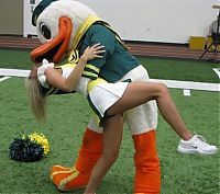 Sport and Fitness: Oregon Ducks cheerleader girls