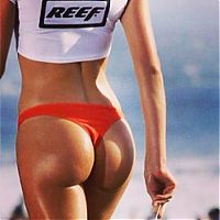 Sport and Fitness: miss reef 2013 bikini contest