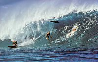 Sport and Fitness: Vintage surf art photography by Jeff Divine