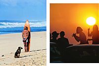 TopRq.com search results: Vintage surf art photography by Jeff Divine