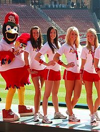 Sport and Fitness: Arizona Cardinals NFL Cheerleader girls