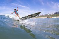 Sport and Fitness: young surfing girl