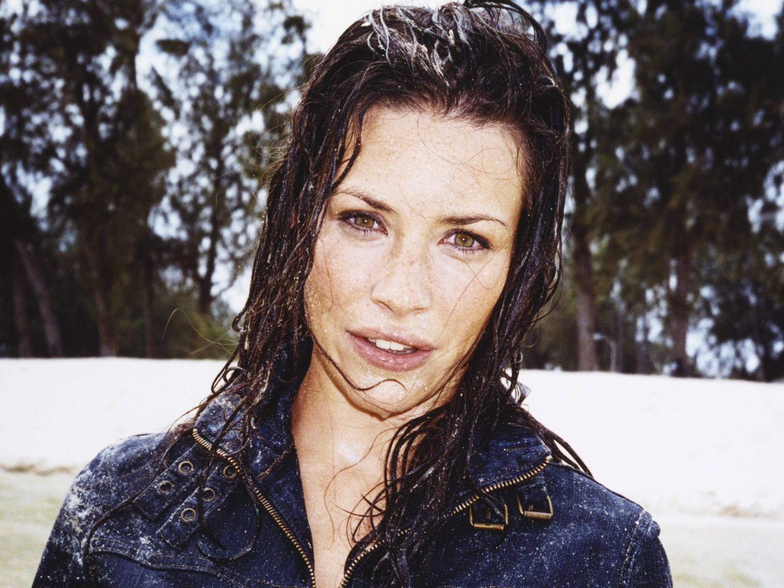 evangeline lilly