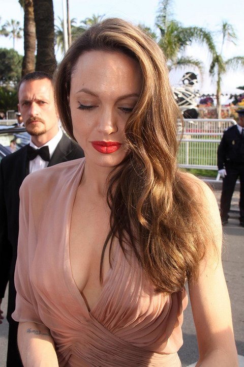 Celebrities - Angelina Jolie 151934 - TopRq.com