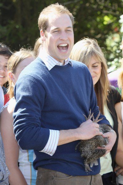 Prince William in New Zealand