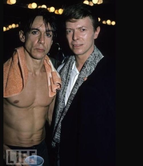 Life of Iggy Pop