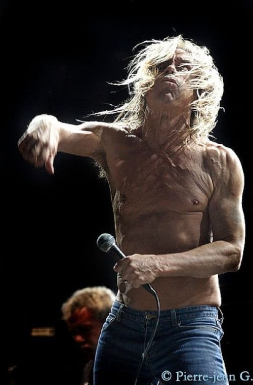 Life of Iggy Pop