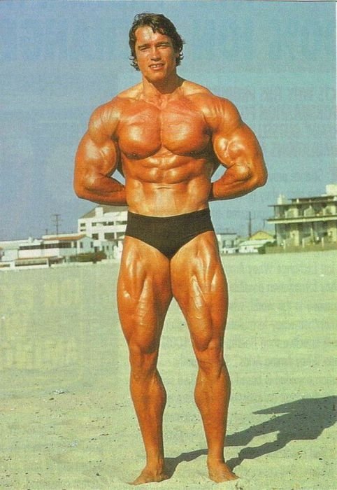 Arnold Schwarzenegger