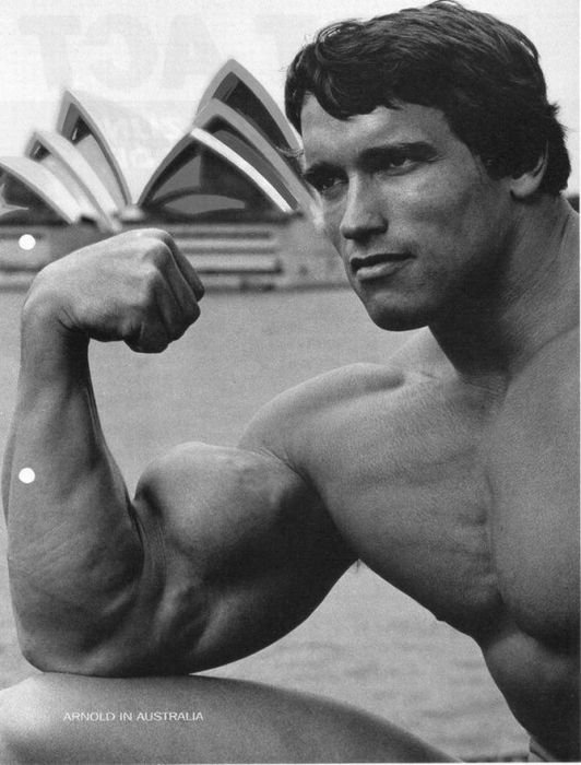 Arnold Schwarzenegger