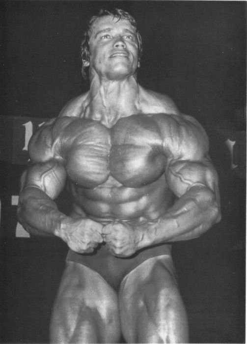 Arnold Schwarzenegger