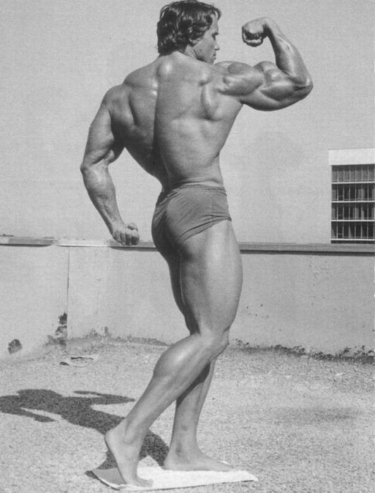 Arnold Schwarzenegger