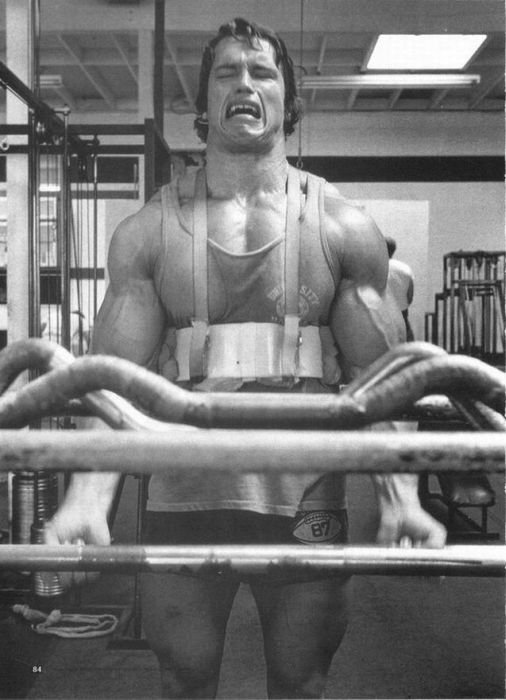 Arnold Schwarzenegger