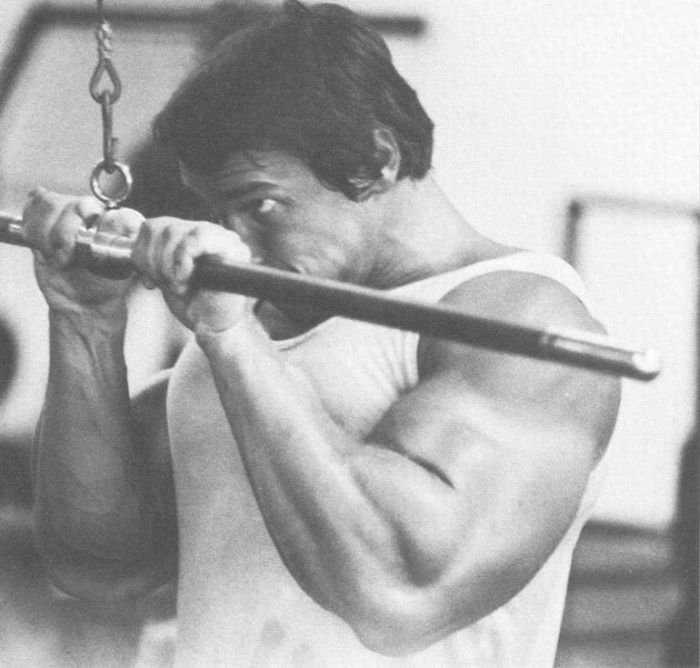 Arnold Schwarzenegger