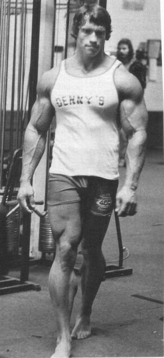 Arnold Schwarzenegger