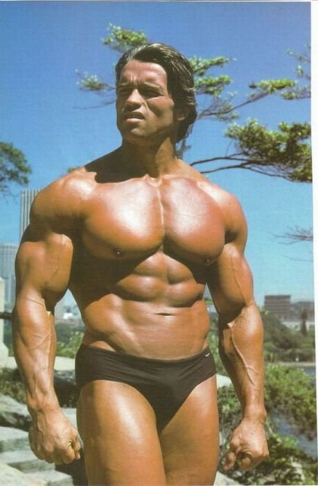 Arnold Schwarzenegger