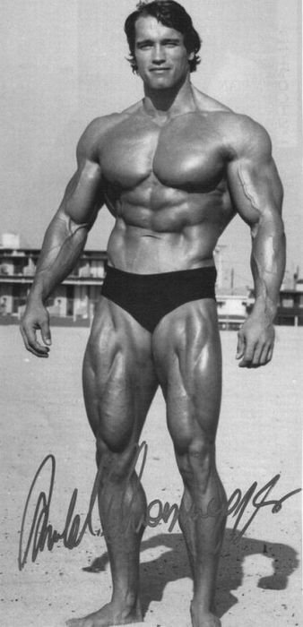 Arnold Schwarzenegger