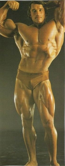 Arnold Schwarzenegger