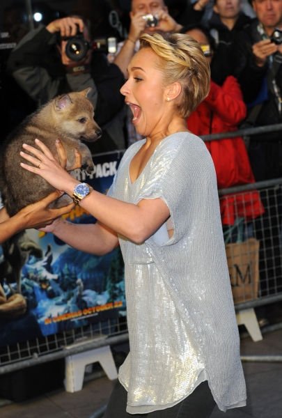 Hayden Leslie Panettiere