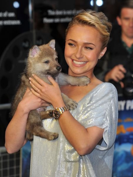 Hayden Leslie Panettiere