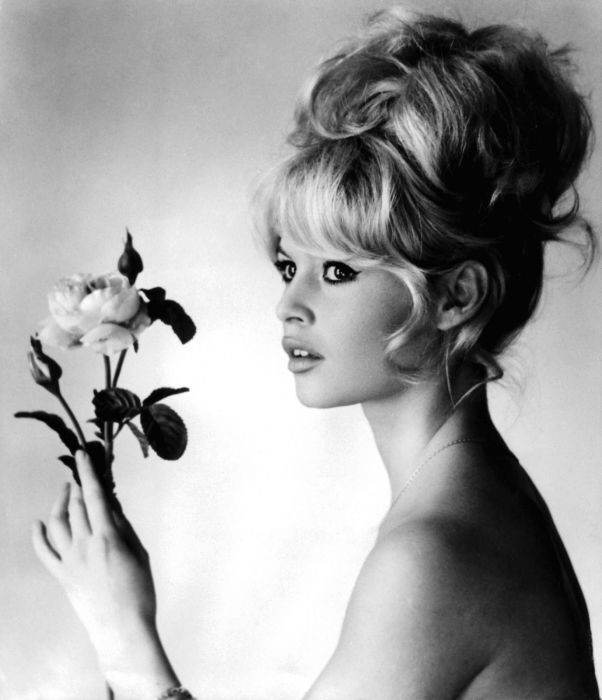 Life of Brigitte Anne-Marie Bardot