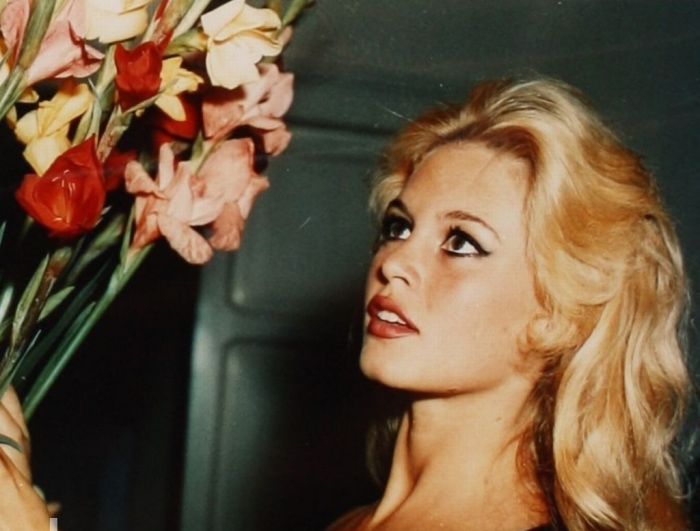 Life of Brigitte Anne-Marie Bardot