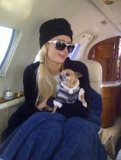 Paris Whitney Hilton