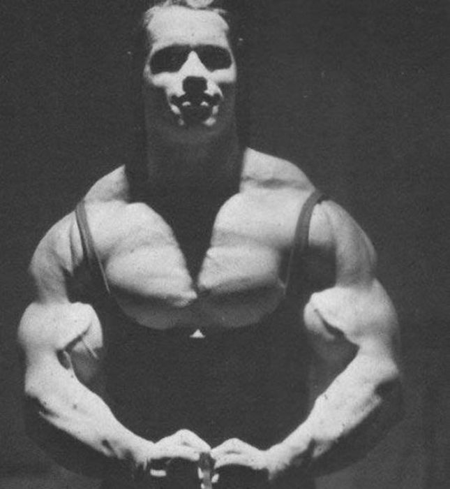 Arnold Schwarzenegger