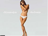 TopRq.com search results: Alessandra Corine Ambrósio
