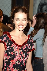 Celebrities: amy acker