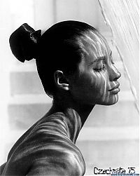 Celebrities: christy turlington