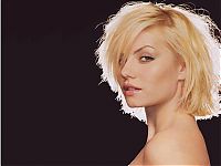 Celebrities: elisha cuthbert