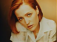 Celebrities: gillian anderson