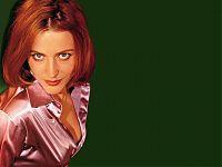 TopRq.com search results: gillian anderson