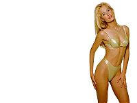 Celebrities: karen mulder