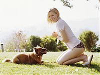 Celebrities: kristen bell