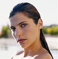 Celebrities: lake bell