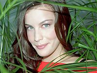 TopRq.com search results: liv tyler