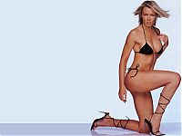 TopRq.com search results: nell mcandrew